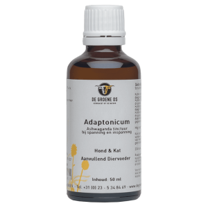 Adaptonicum P/P 100 ml