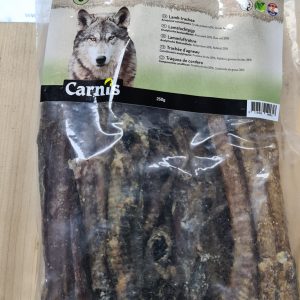 Lamsluchtpijp