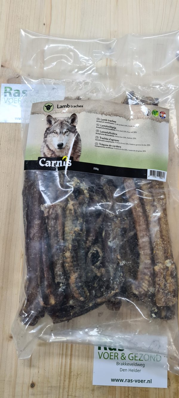 Lamsluchtpijp