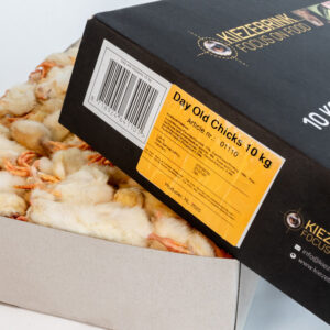 Eendagskuikens 10 kg doos