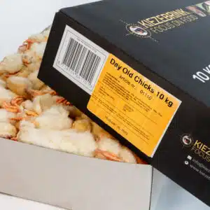 Eendagskuikens 10 kg doos